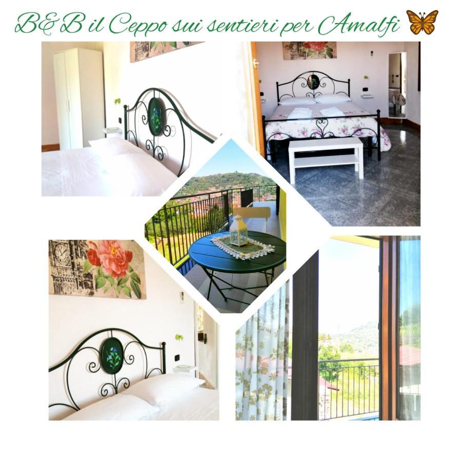 Il Ceppo Sui Sentieri Per Amalfi Bed & Breakfast Пимонте Екстериор снимка